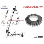 INGRANAGGIO 24 T