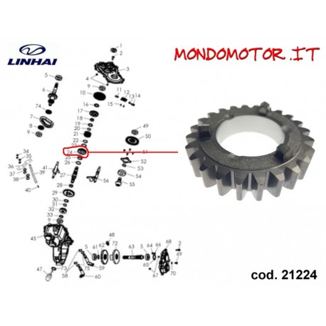 INGRANAGGIO 24 T