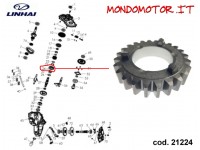 INGRANAGGIO 24 T