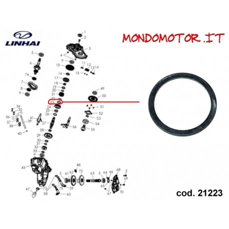 RONDELLA REGGISPINTA