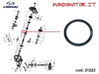 RONDELLA REGGISPINTA