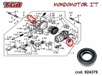 PARAOLIO DIFFERENZIALE ANTERIORE