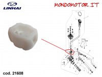 SFEROIDE LEVA CAMBIO