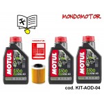KIT OLIO MOTORE PATHCROSS 525