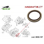 GUARNIZIONE ARCTIC CAT