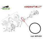 ORING ARCTIC CAT