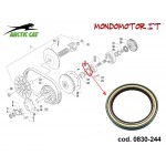 PARAOLIO ARCTIC CAT