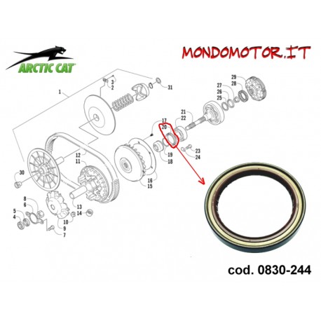 PARAOLIO ARCTIC CAT