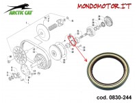 PARAOLIO ARCTIC CAT