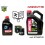 KIT TAGLIANDO ARCTIC CAT ATV
