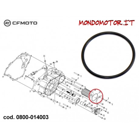 O-RING TAPPO FILTRO OLIO