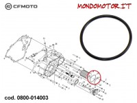 O-RING TAPPO FILTRO OLIO