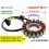 STATORE CFMOTO Ø 115mm