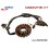 STATORE DINLI 450cc