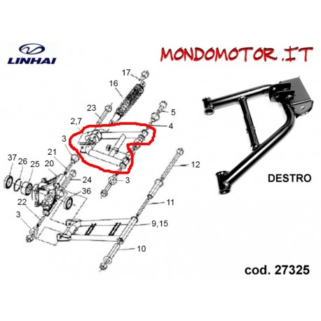 TRAPEZIO POSTERIORE SUPERIORE DX