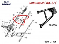 TRAPEZIO POSTERIORE SUPERIORE DX