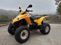 KIMCO KXR 250