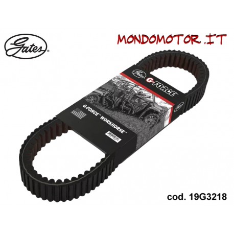 CINGHIA GATES WORKHORSE