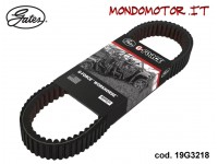 CINGHIA GATES WORKHORSE