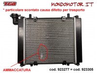 RADIATORE ACQUA TGB