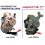 CARBURATORE LINHAI 250 / 300