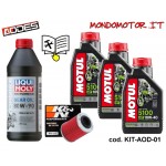 TAGLIANDO COMPLETO PATHCROSS 650/850/1000