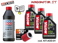 TAGLIANDO COMPLETO PATHCROSS 650/850/1000