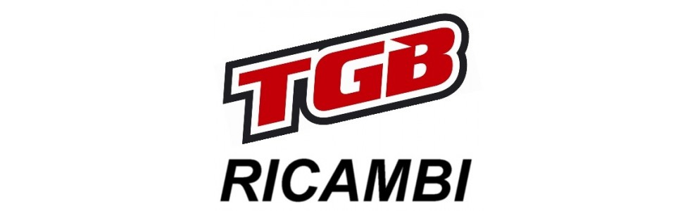 RICAMBI TGB 2004 al 2006