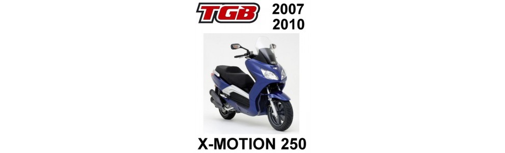 X-MOTION 250cc