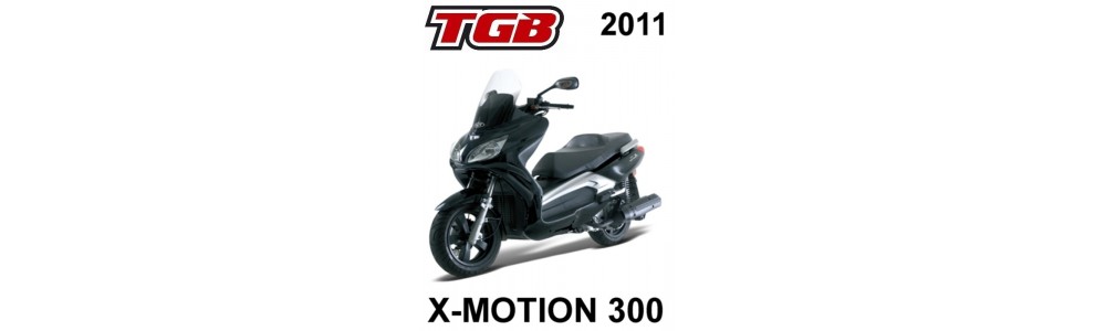 X-MOTION 300cc