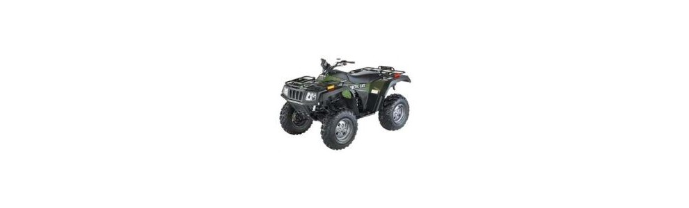 ARCTICCAT 300cc