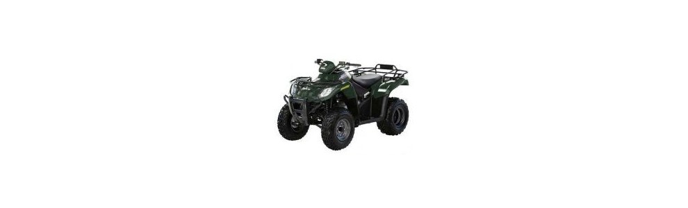 ARCTIC CAT 250 2x4