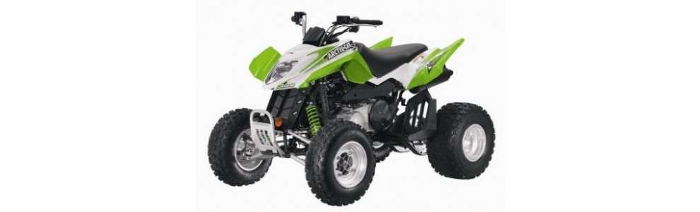 ARCTICCAT DVX 300