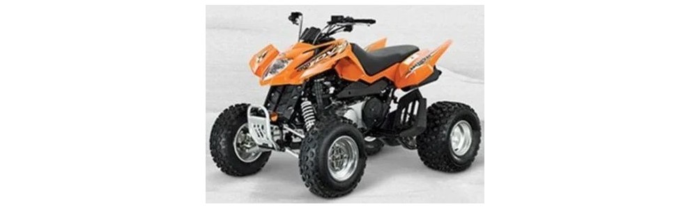 ARCTICCAT DVX 300