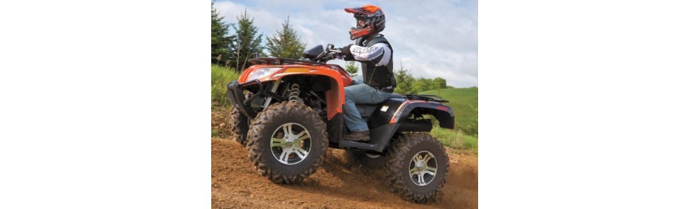 ARCTICCAT 1000 GT