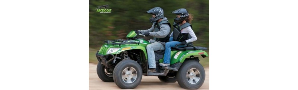 ARCTICCAT 1000 TRV GT