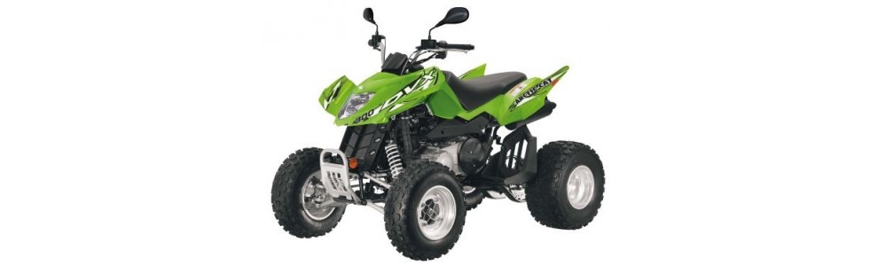 ARCTICCAT 300 DVX