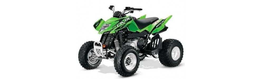 ARCTICCAT 300 DVX