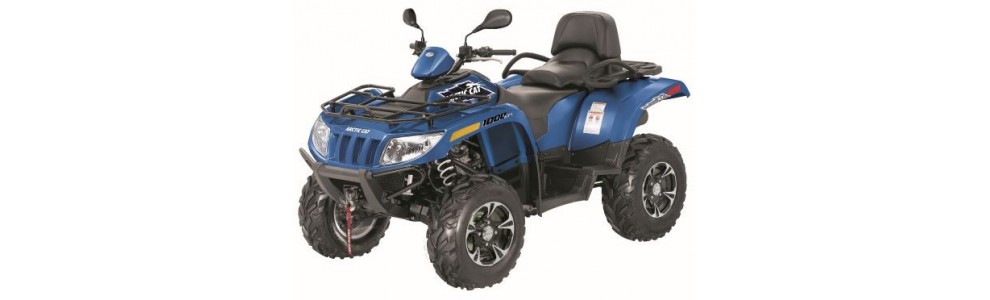 ARCTICCAT 1000 TRV XT