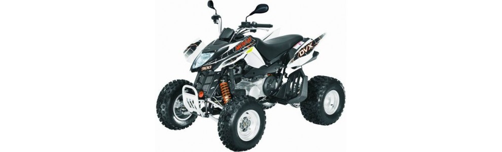 ARCTICCAT 300 DVX