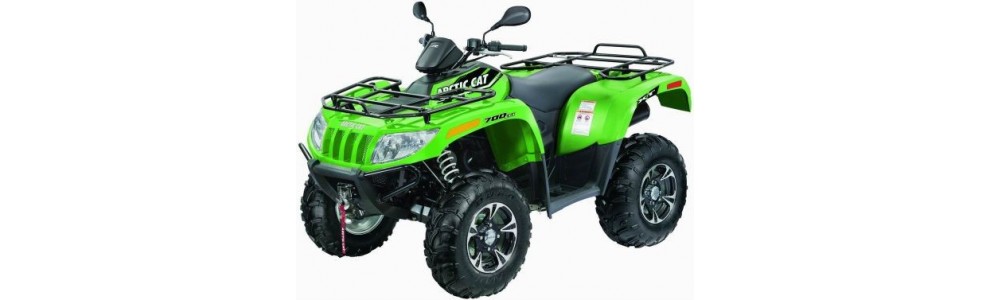 ARCTICCAT 1000 XT